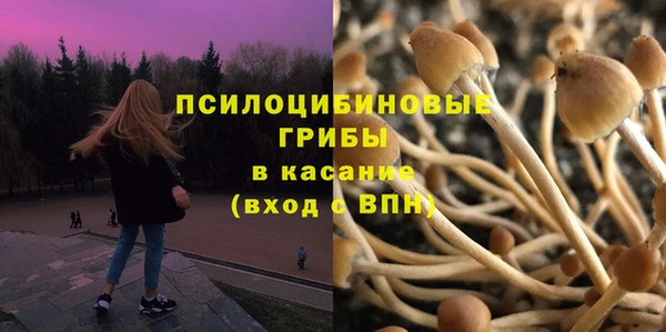 MDMA Premium VHQ Белокуриха