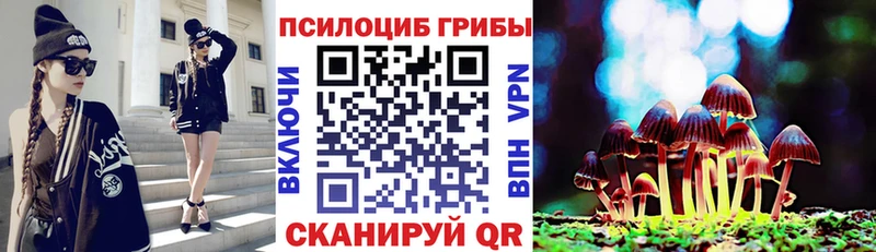 Псилоцибиновые грибы Psilocybe Кунгур